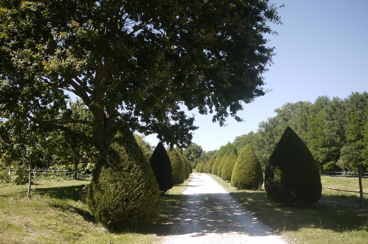 Domaine De Puytirel Bed & Breakfast Champagne-et-Fontaine Exterior foto